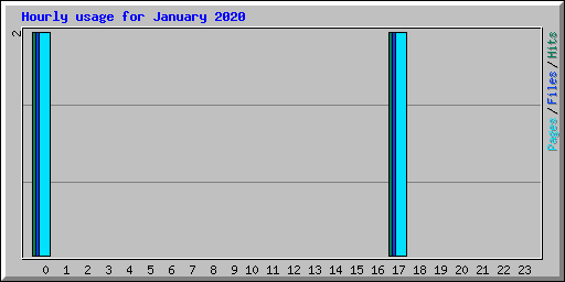 Hourly usage for January 2020
