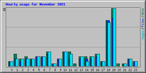Hourly usage for November 2021