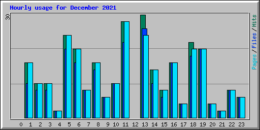 Hourly usage for December 2021