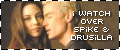 Spike/Drusilla