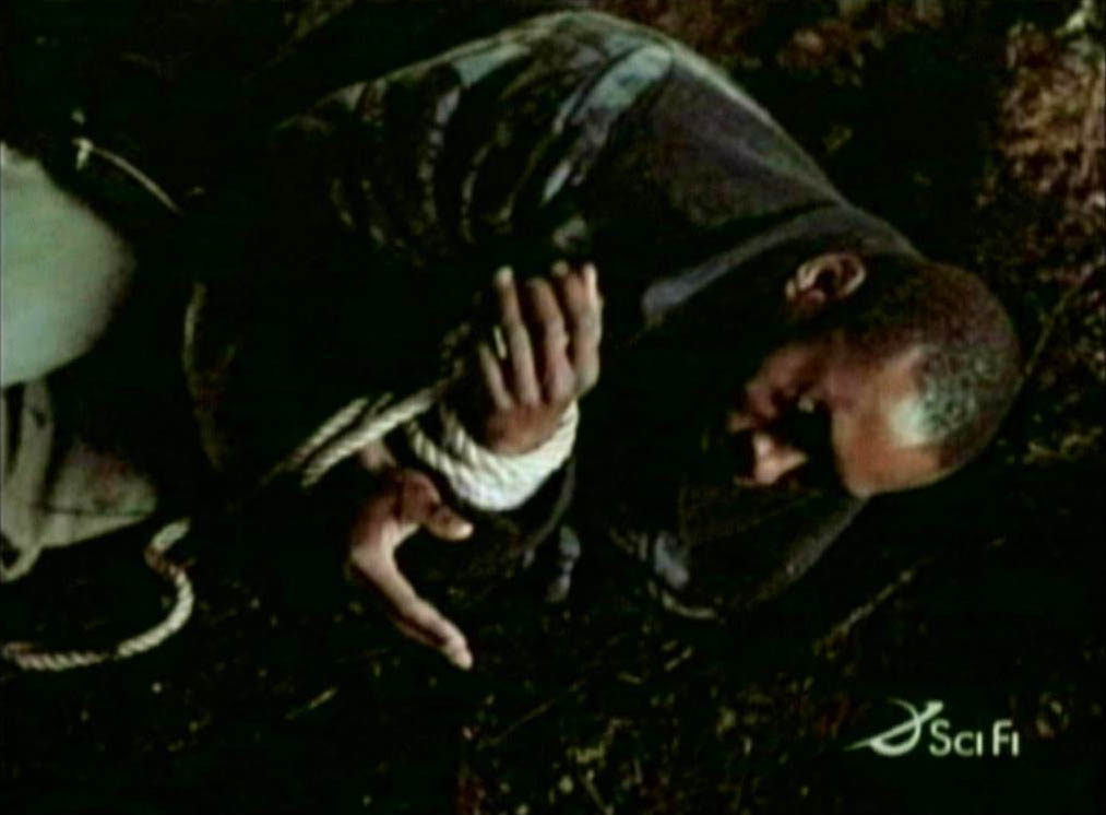 survival236