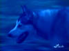 sentoo110