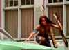 warriors604
