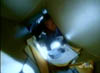 deadend222