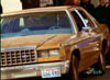 realdeal234
