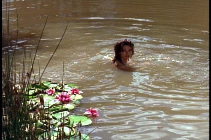 pdvd_051.jpg