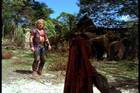 pdvd_049.jpg