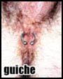 Guiche