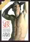 Gay Sex Manual