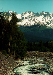 [mountain stream picture]