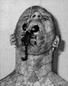 [thumbnail of freak]