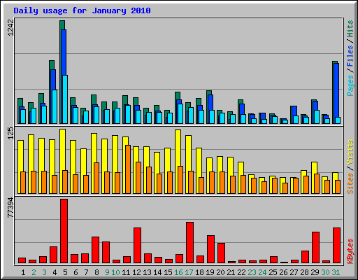 Daily usage for January 2010