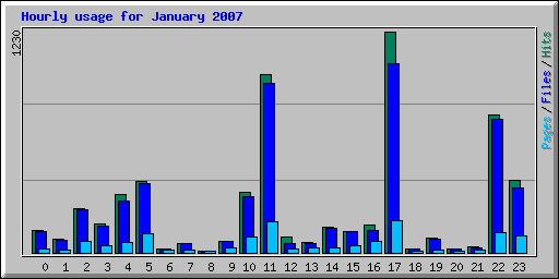 Hourly usage for January 2007