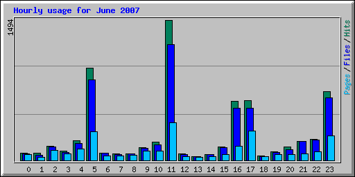 Hourly usage for June 2007