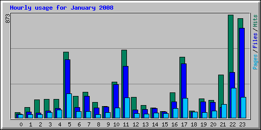 Hourly usage for January 2008