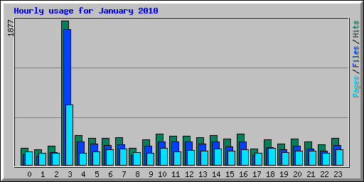 Hourly usage for January 2010