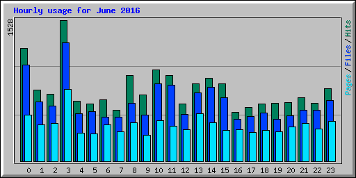 Hourly usage for June 2016