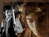 frodo1 