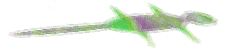 Image of a lizard