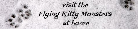 visit the Flying Kitty Monsters at home