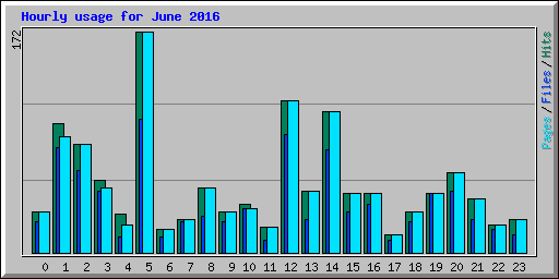 Hourly usage for June 2016