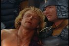 kot115.jpg