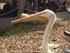 Casper_3