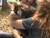 Holly Beary_1
