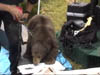 Holly Beary_2