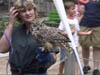 Owl_1
