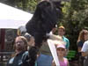 Yukon_1