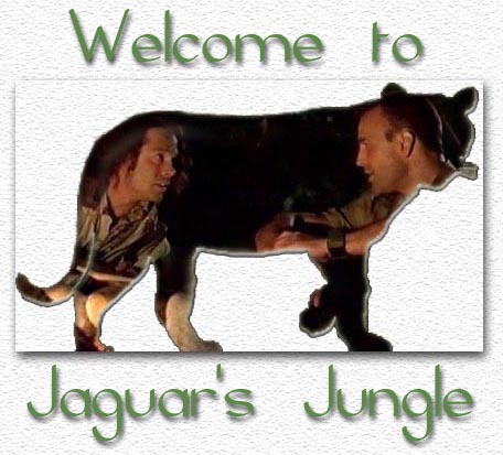 Welcome to Jaguar's Jungle