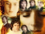 pretty Frodo...
