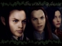coe Elladan, Elrohir and Arwen
