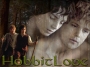 hobbitlove Frodo/Sam