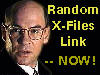 Click for a Random X-Files Link!