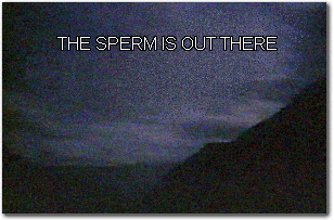 The Sperm is Out There